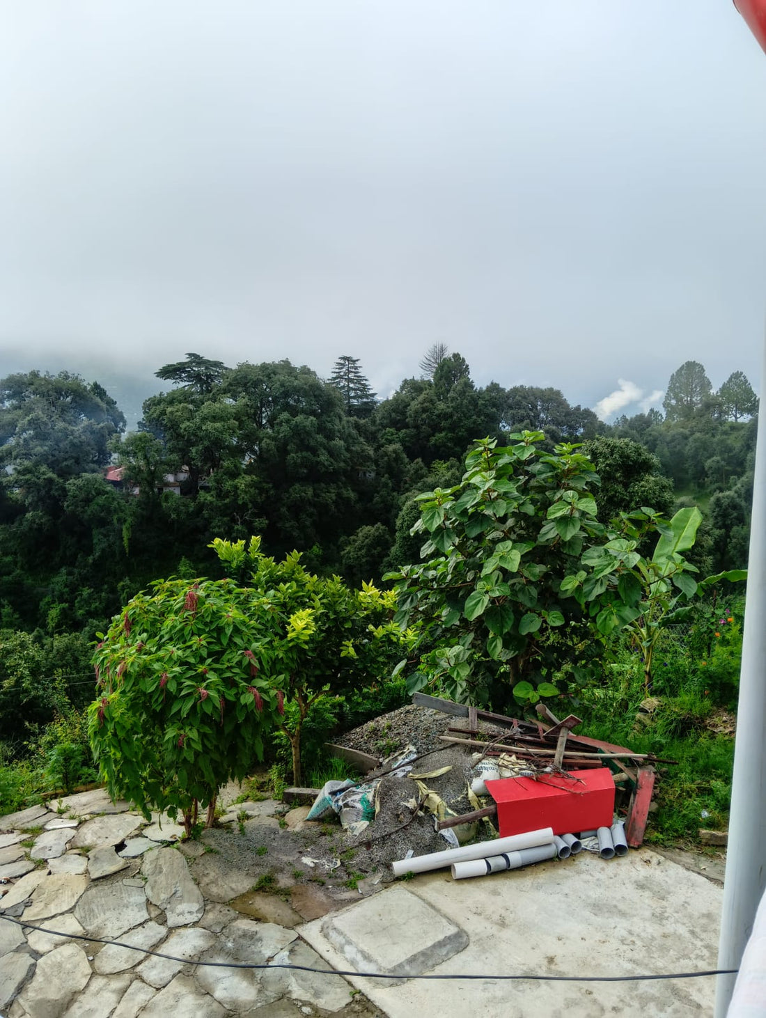 MY JOURNEY INTO HIMALAYAN PURITY — A BLOG BY MANAN KHULBE