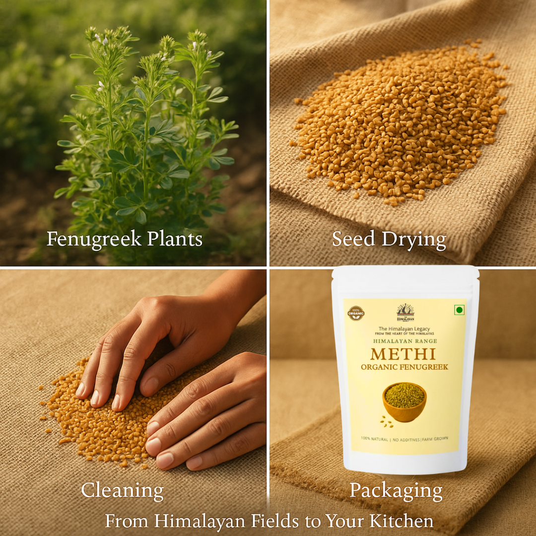 Himalayan Methi Seeds – Whole Fenugreek from Mountain Farms