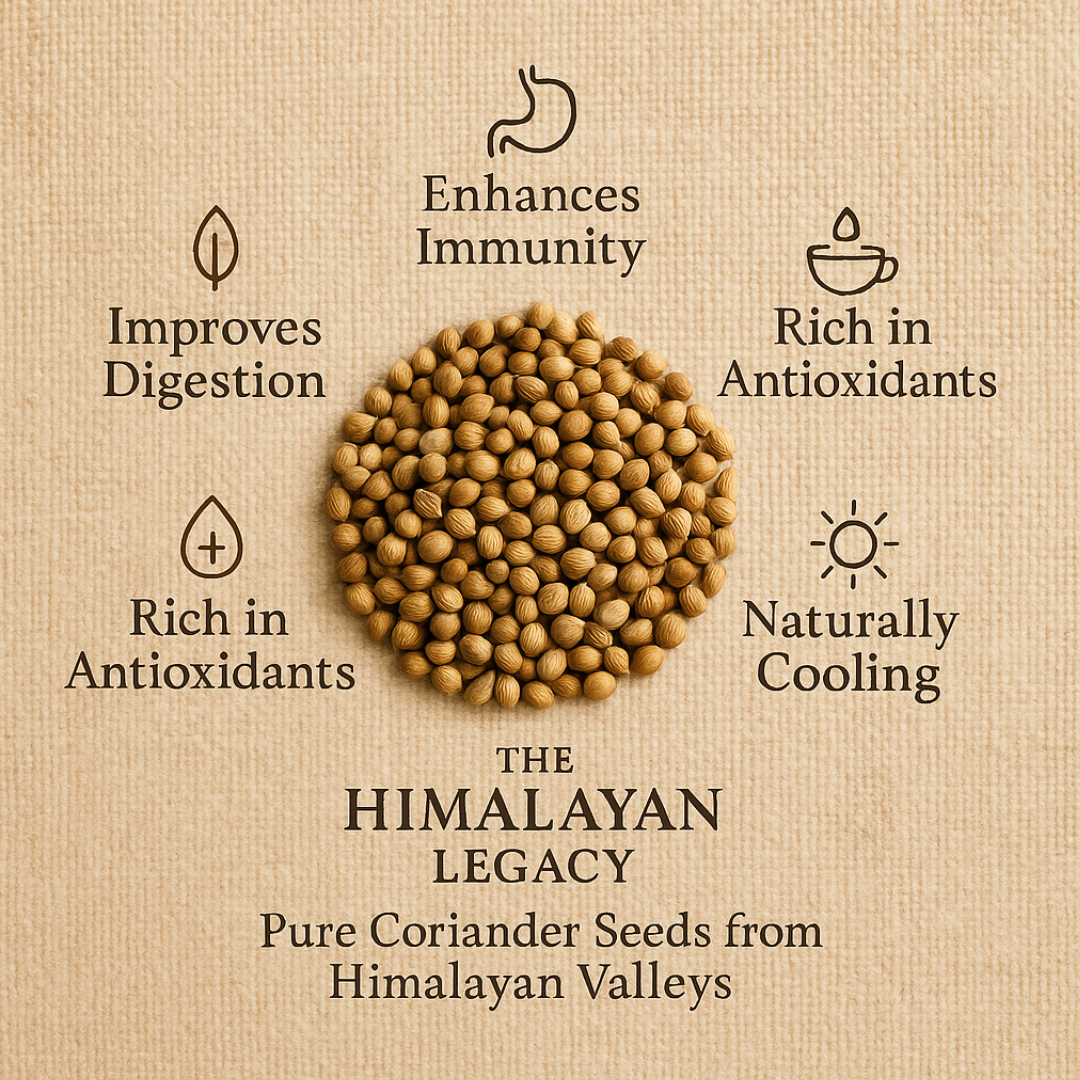 Himalayan Dhania/Coriander Seeds – Aromatic Coriander Seeds from Mountain Farms